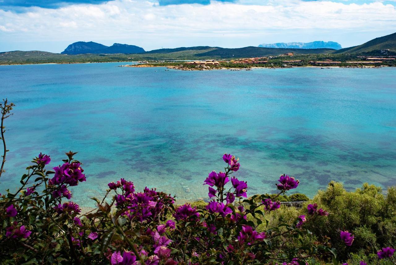 Appartement Casa Valery Wonderful Sea View à Porto Rotondo Extérieur photo